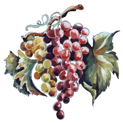 Agriturismo Il Vignale