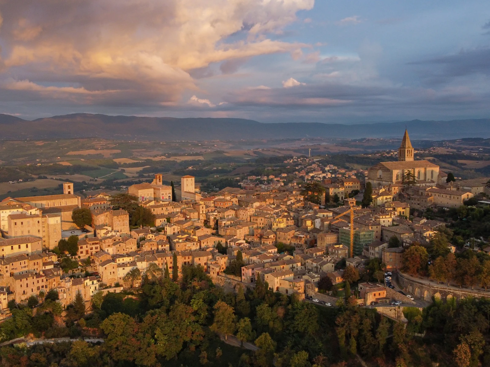 Todi